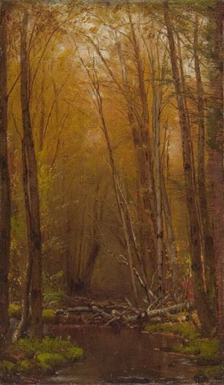 The Birches of the Catskills, ca. 1875.