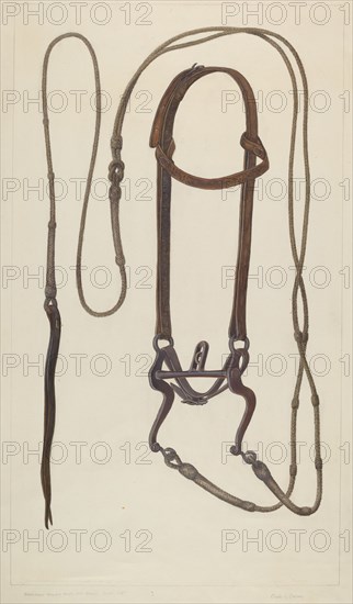 Bridle with Braided Rawhide Reins, c. 1937.