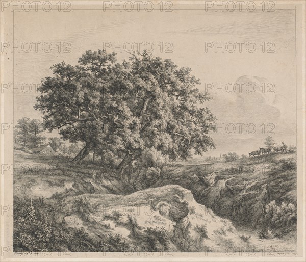 Le chêne au ravin (Oak Tree by a Ravine), 1845.
