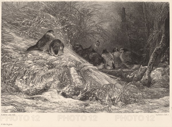 A l'abri du givre. [Sheltering from the frost].