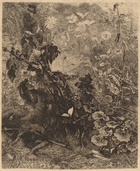 Escargots et papillons. [Snails and butterflies].