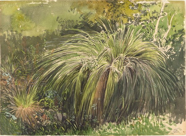 A Corner of a Meadow with Fountaingrass, c. 1870.