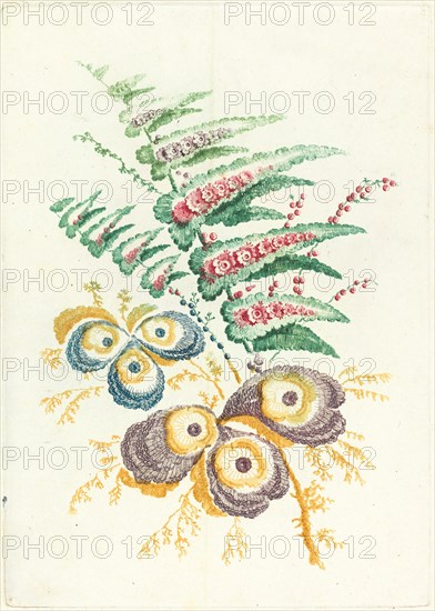 Fantastic Flowers with Oyster-shell Blossoms, c. 1795.