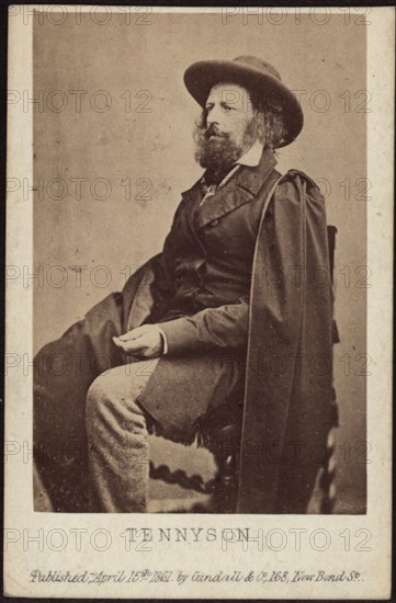 Portrait of Alfred, Lord Tennyson (1809-1892), 1861. Private Collection.