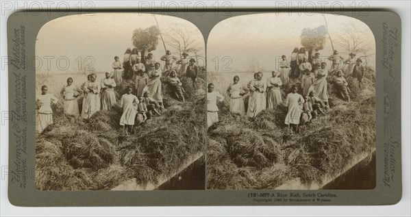 A Rice Raft, South Carolina, captured 1895; printed 1904. Creator: Strohmeyer & Wyman.