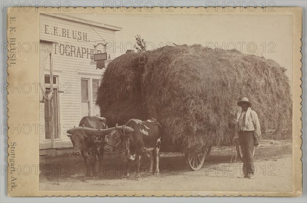 Albumen print of a man with a full hay cart, 1894-1904. Creator: E. K. Blush.