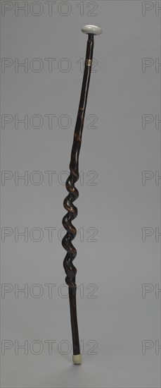 Carved wooden cane owned by Carl Brashear, after 1966. Creator: Unknown.