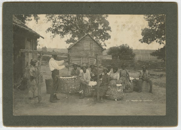 No. 44, Weighing Cotton, ca. 1895. Creator: A. W. Möller.