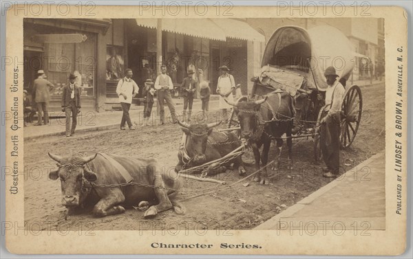 No. 2009, 'Taking a Rest', 1890-1895. Creator: Thomas H. Lindsey.