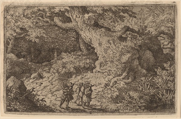 A Thick Forest, probably c. 1645/1656. Creator: Allart van Everdingen.