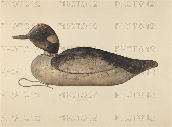 Duck Decoy, 1937. Creator: Max Fernekes.