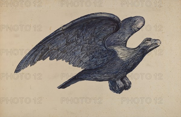 Eagle, 1935/1942. Creator: Elisabeth Fulda.