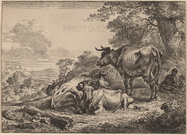 Resting Cows. Creator: Nicolaes Berchem.