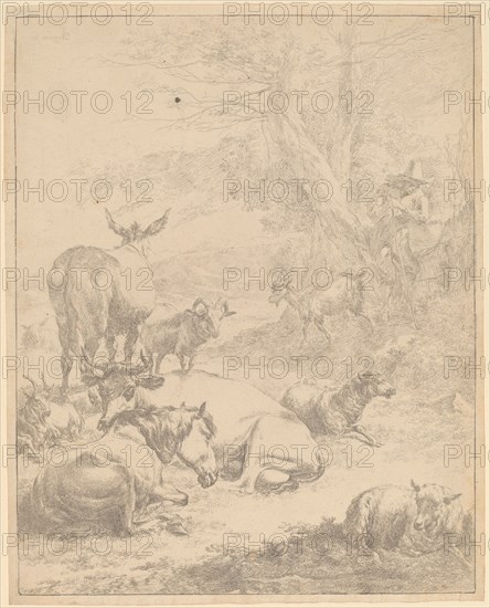 Resting Herd. Creator: Nicolaes Berchem.