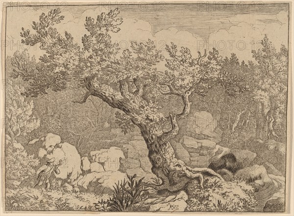 Sportsman near a Large Tree, probably c. 1645/1656. Creator: Allart van Everdingen.