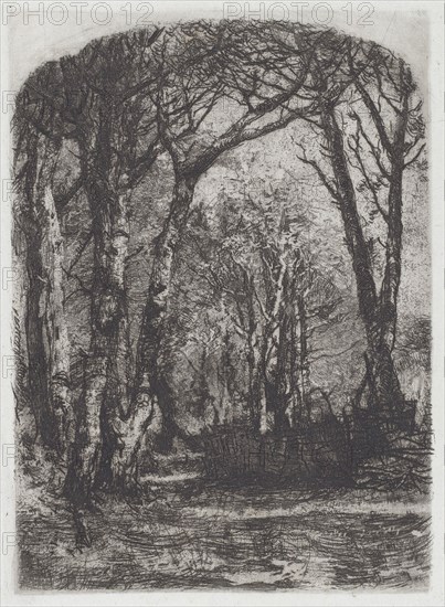 Woods [Bosco], c.1895. Creator: Mose, Bianchi.