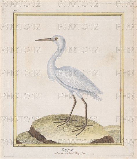 L'Aigrette (Egret), 1770-86. Creator: François Nicolas Martinet.