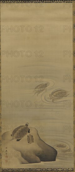 Turtles, Edo period, 18th century. Creator: Maruyama Okyo.