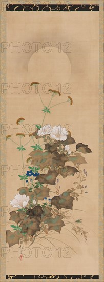Moon and Autumn Plants, Edo period, early 19th century. Creator: Sakai Hoitsu.
