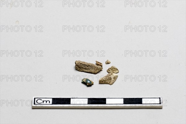 Bone fragments, Shang dynasty, ca. 1600 - ca. 1050 BCE. Creator: Unknown.