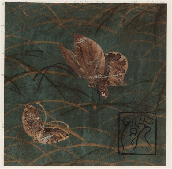 Butterflies and grasses, Edo period, early 17th century. Creator: Hon'ami Kôetsu.