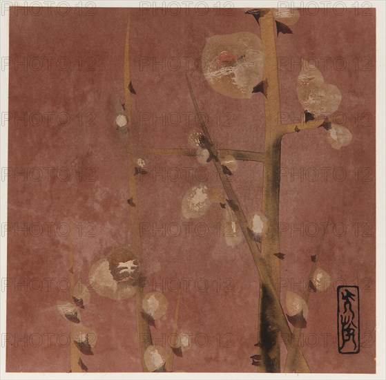 Plum blossoms, Edo period, late 16th-early 17th century. Creator: Hon'ami Kôetsu.