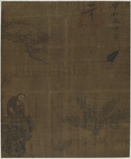 Monkeys, insects, and cabbage, Possibly Ming dynasty, 1368-1644. Creator: Unknown.