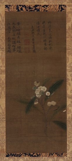 A Branch of loquats, Ming dynasty, 1368-1644. Creator: Unknown.