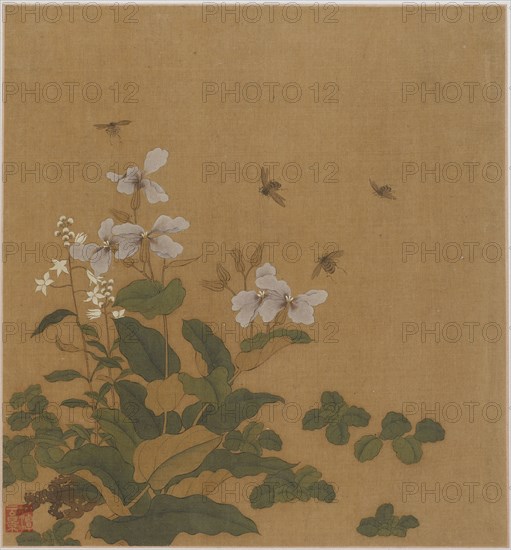 Bees hovering over flowers, Qing dynasty, 18th century. Creator: Unknown.