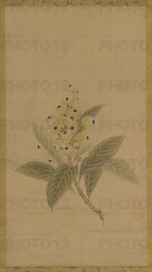 A branch of medlars, Edo period, 17th century. Creator: Kanô Tan'yû.