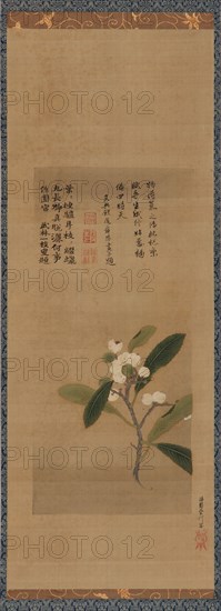 A branch of loquats, Edo period, 18th century. Creator: Kanô Eisen'in Michinobu.