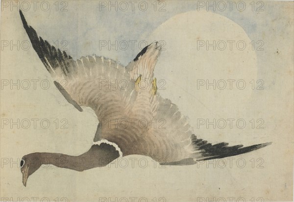 Goose flying in front of the moon, late 18th-early 19th century. Creator: Hokusai.