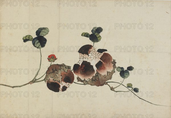 Pomegranates, late 18th-early 19th century. Creator: Hokusai.