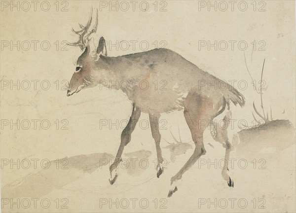 Deer, late 18th-early 19th century. Creator: Hokusai.