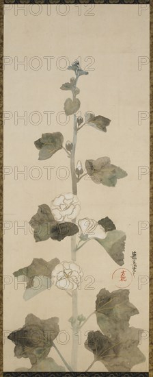 White hollyhocks, Edo period, late 17th-early 18th century. Creator: Ogata Korin.