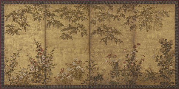 Mimosa tree, poppies and other summer flowers, Edo period, 1630-1670. Creator: Tawaraya Sosetsu.