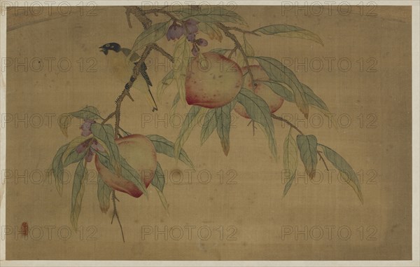 Bird, Fruit, and Flowers, Qing dynasty, 1741. Creator: Wu Zhang.