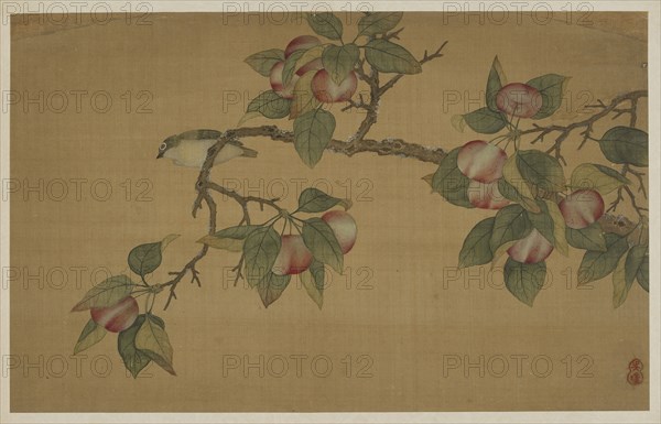 Bird and Fruit, Qing dynasty, 1741. Creator: Wu Zhang.