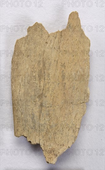 Inscribed bone fragment ("oracle bone"), Late Shang dynasty, ca. 1300-1050 BCE. Creator: Unknown.