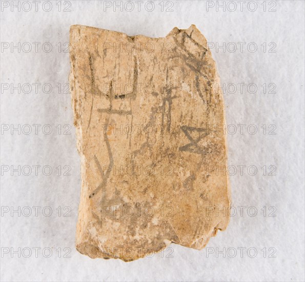 Inscribed bone fragment ("oracle bone"), Late Shang dynasty, ca. 1300-1050 BCE. Creator: Unknown.