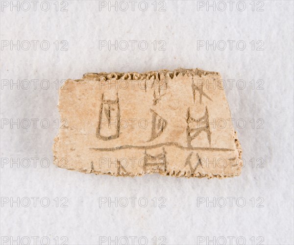 Inscribed bone fragment ("oracle bone"), Late Shang dynasty, ca. 1300-1050 BCE. Creator: Unknown.