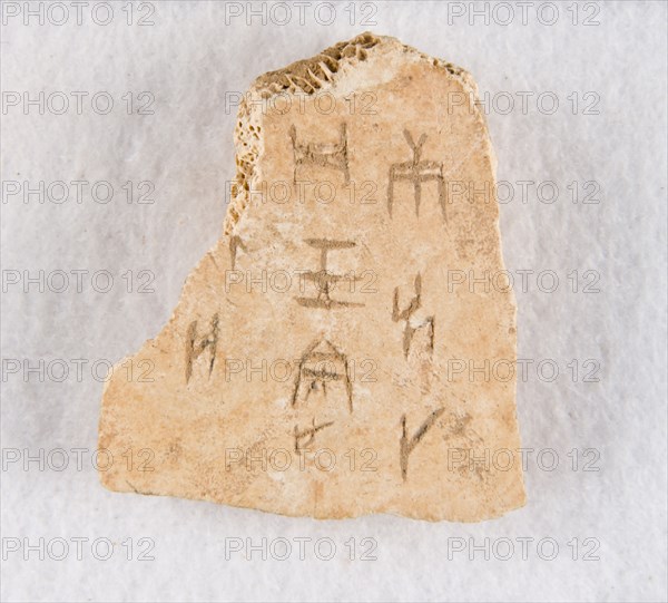 Inscribed bone fragment ("oracle bone"), Late Shang dynasty, ca. 1300-1050 BCE. Creator: Unknown.