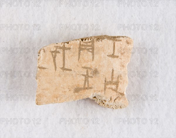 Inscribed bone fragment ("oracle bone"), Late Shang dynasty, ca. 1300-1050 BCE. Creator: Unknown.