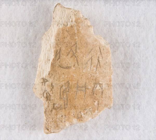 Inscribed bone fragment ("oracle bone"), Late Shang dynasty, ca. 1300-1050 BCE. Creator: Unknown.