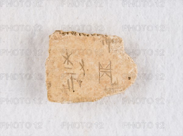 Inscribed bone fragment ("oracle bone"), Late Shang dynasty, ca. 1300-1050 BCE. Creator: Unknown.