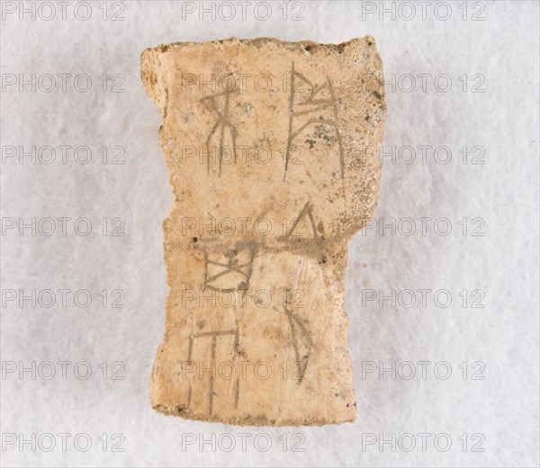 Inscribed bone fragment ("oracle bone"), Late Shang dynasty, ca. 1300-1050 BCE. Creator: Unknown.