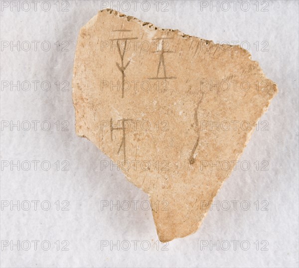 Inscribed bone fragment ("oracle bone"), Late Shang dynasty, ca. 1300-1050 BCE. Creator: Unknown.