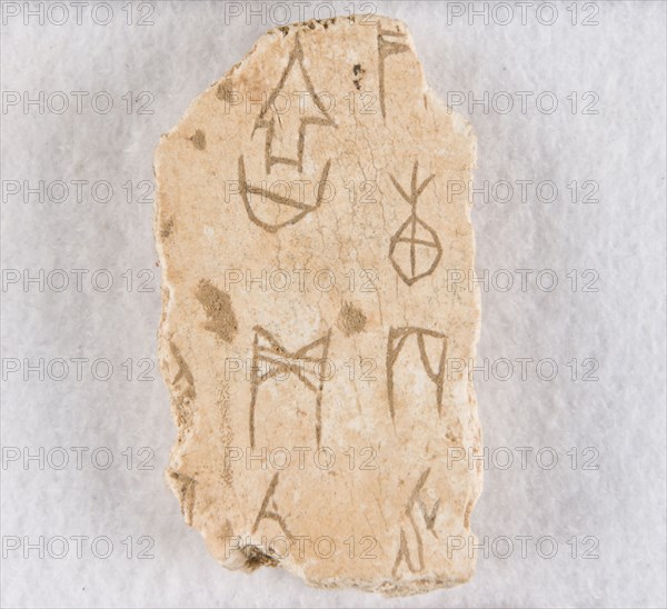 Inscribed bone fragment ("oracle bone"), Late Shang dynasty, ca. 1300-1050 BCE. Creator: Unknown.