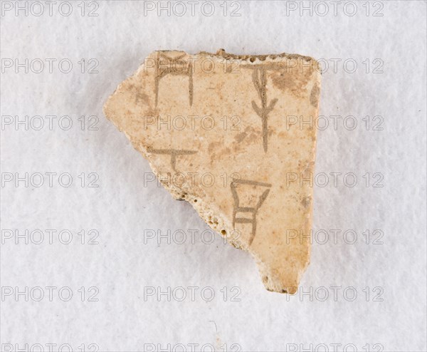 Inscribed bone fragment ("oracle bone"), Late Shang dynasty, ca. 1300-1050 BCE. Creator: Unknown.