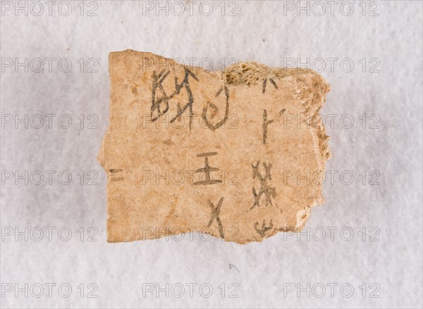 Inscribed bone fragment ("oracle bone"), Late Shang dynasty, ca. 1300-1050 BCE. Creator: Unknown.